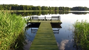 Supporting Transition Towards a Low-Carbon Future